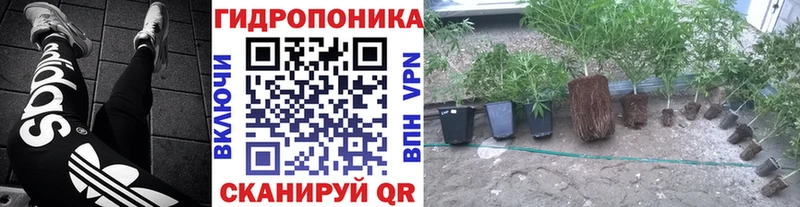 Где найти наркотики Кириши АМФЕТАМИН  Канабис  Меф  МЕТАДОН  A PVP  Гашиш 