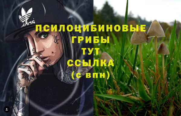 марки nbome Армянск