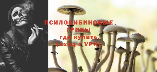 соль ск Арсеньев