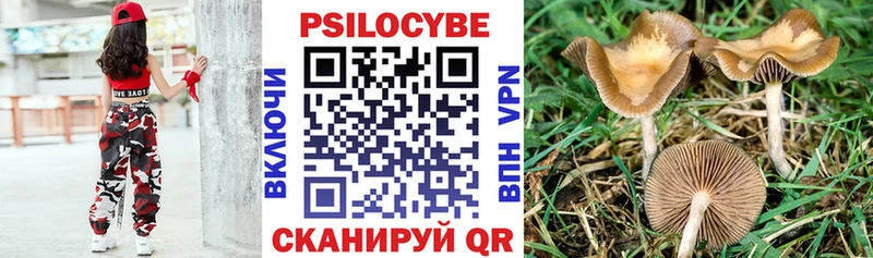 Псилоцибиновые грибы Psilocybine cubensis  Кириши 